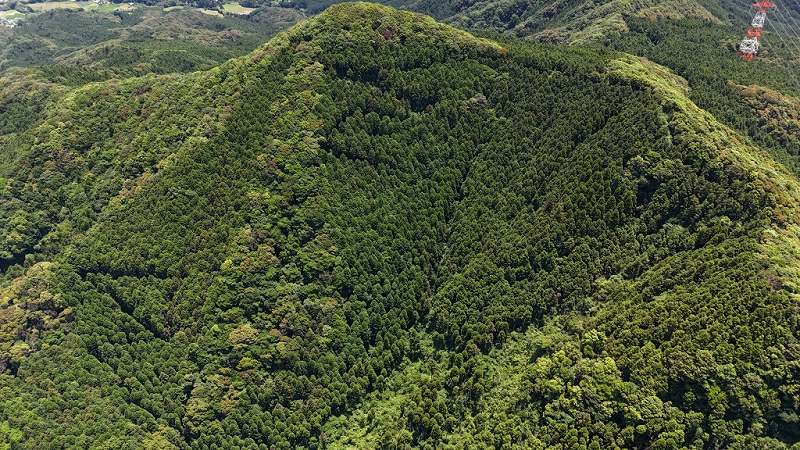 熊本県天草市枦宇土町