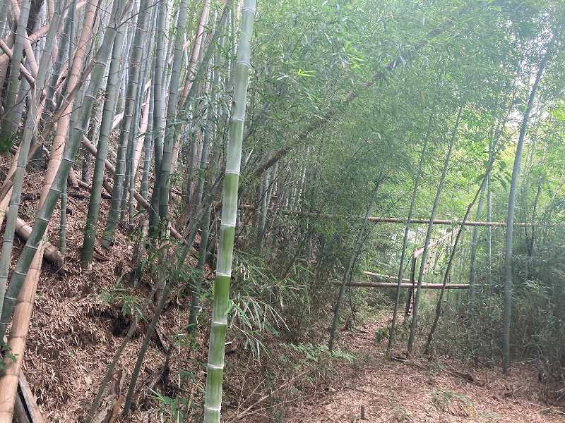 水路沿いの里道※対象外