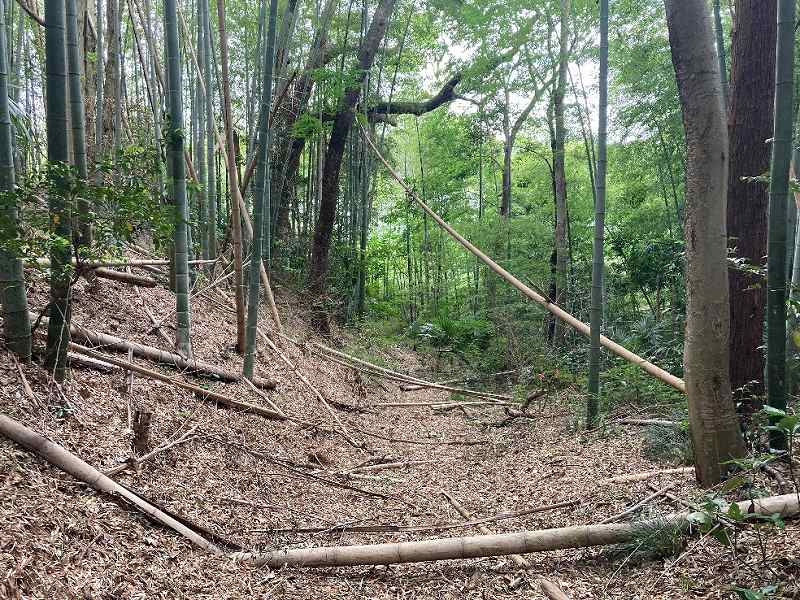 北側・作業道