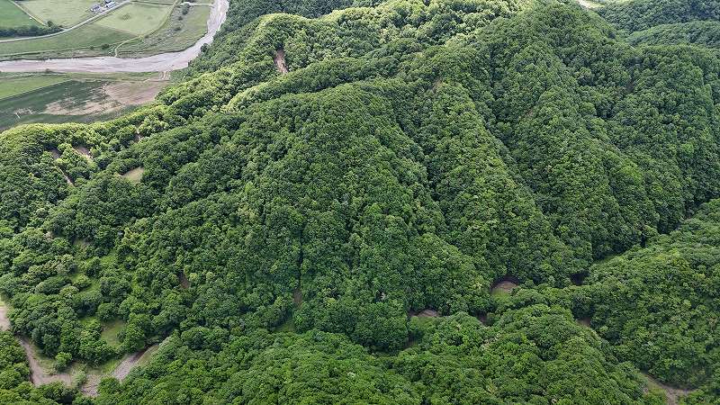 対象地に沢が流れる谷