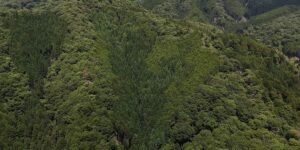 京都市左京区鞍馬貴船町