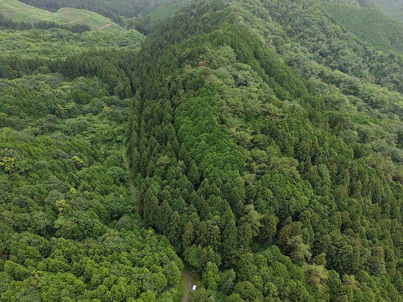 広島県廿日市市虫所山