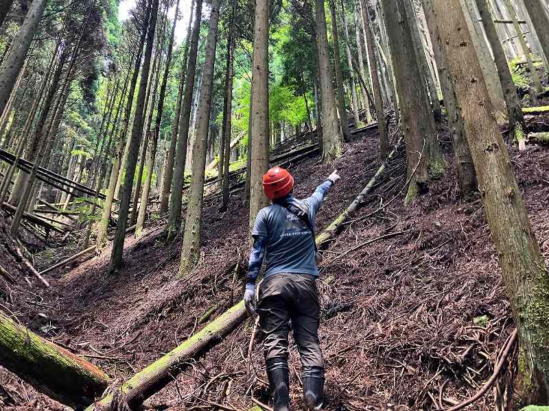 谷間の様子※対象右