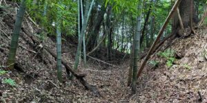 静岡県熱海市伊豆山