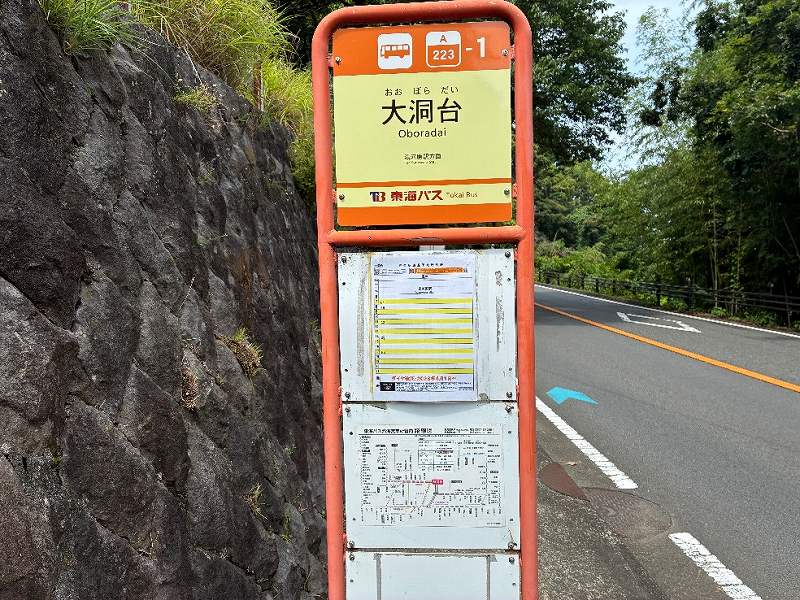 近隣のバス停※対象地まで約200m