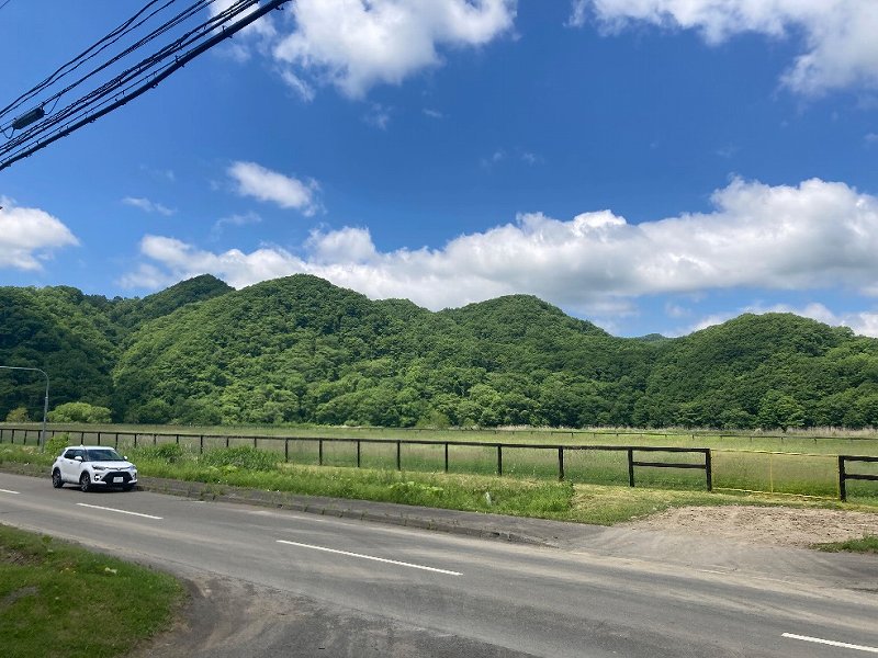 北海道道208号からみた対象地