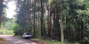 茨城県笠間市土師