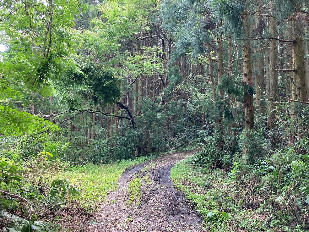 付近の作業道※対象外
