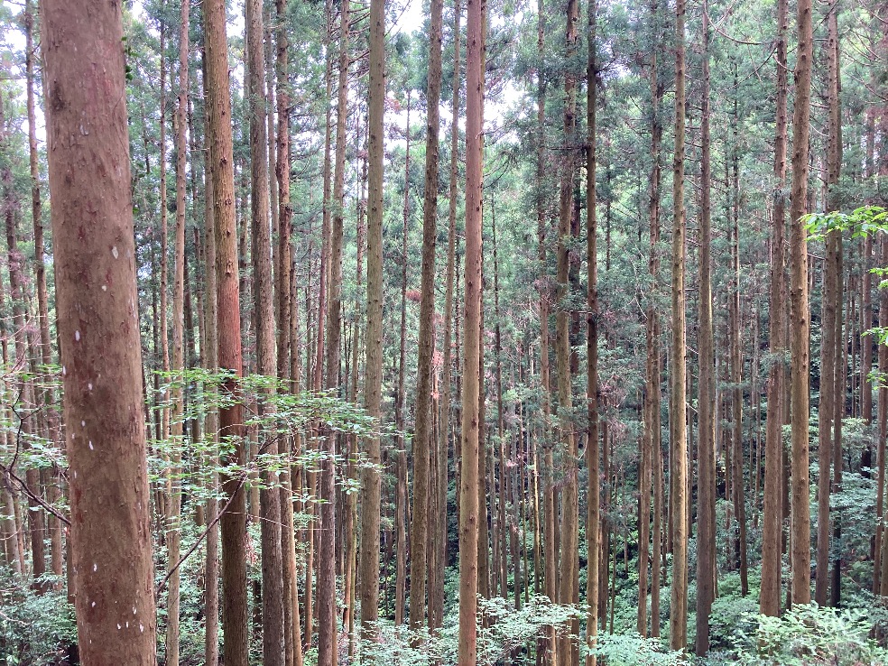 東側の谷あい
