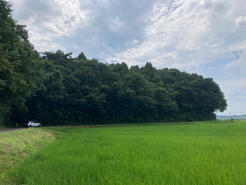 遠景
