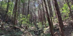 香川県東かがわ市水主
