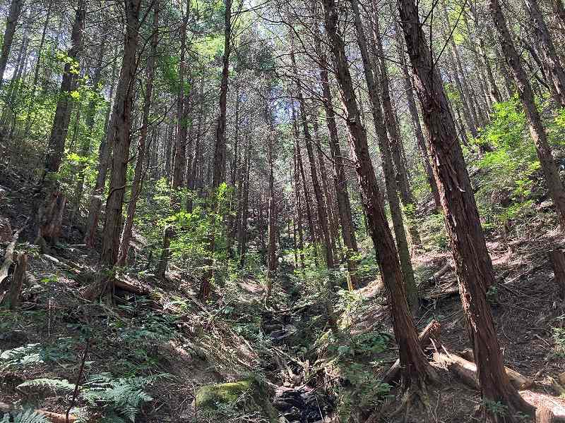 香川県東かがわ市水主