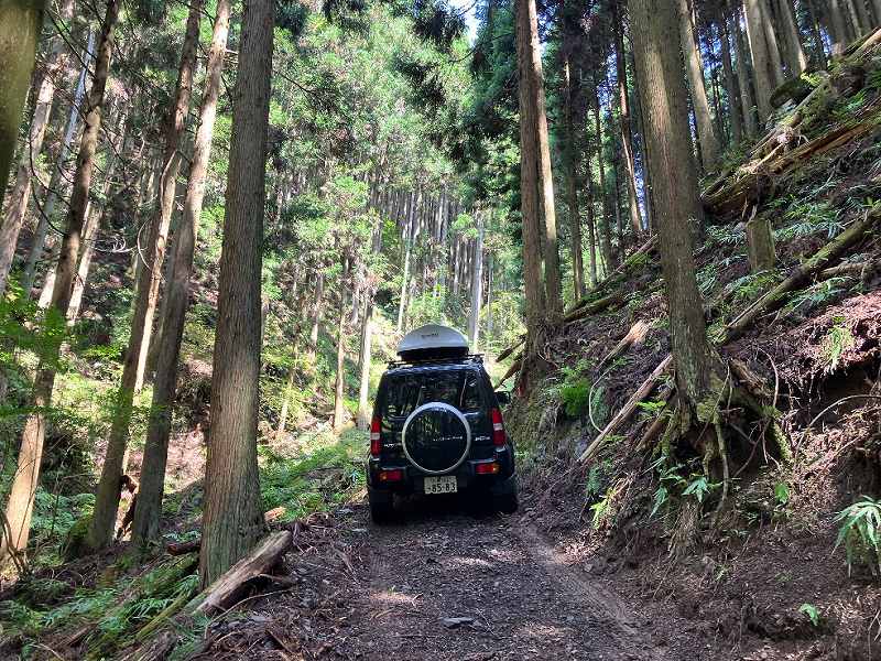 前面の林道※対象右奥