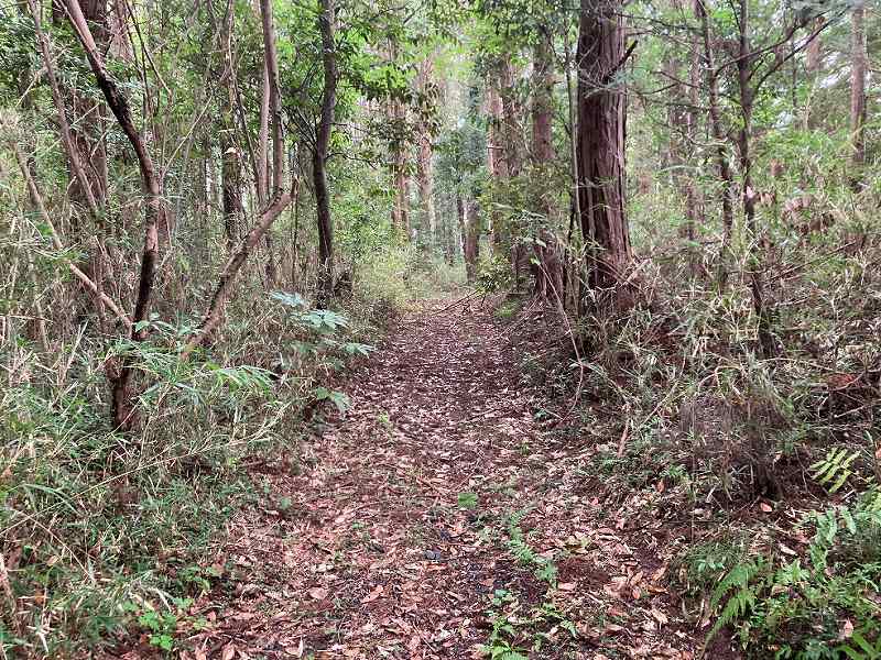 進入路※対象外