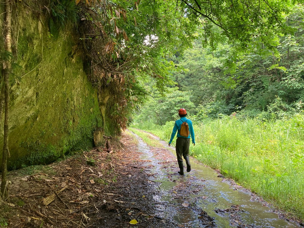 林道※対象外