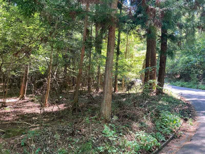 【東部分】接道部分
