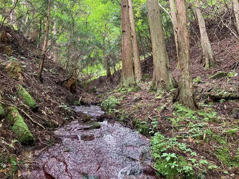 谷あいを流れる沢