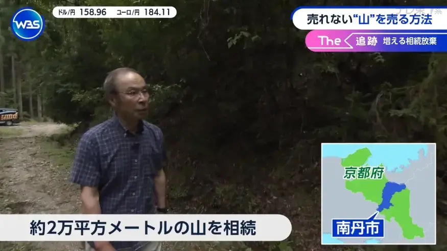 相続による山林の売却事例