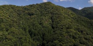 福井県小浜市神宮寺