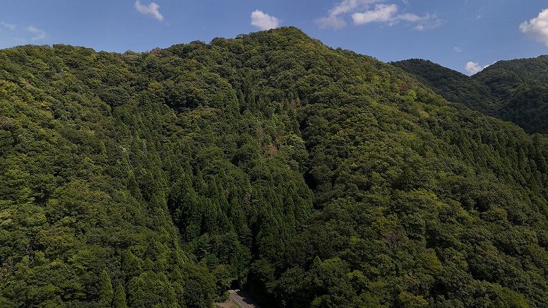 福井県小浜市神宮寺