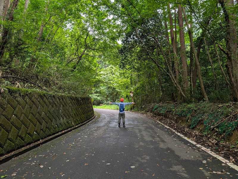 林道※対象は左手擁壁の上