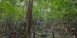 相模原市緑区青山