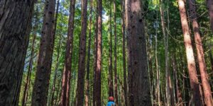 宮城県加美郡加美町