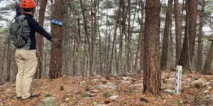 山林物件　岩手県盛岡市山岸