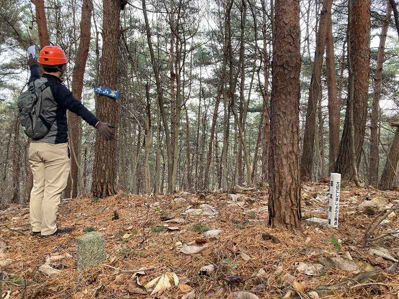 山林物件 岩手県盛岡市山岸