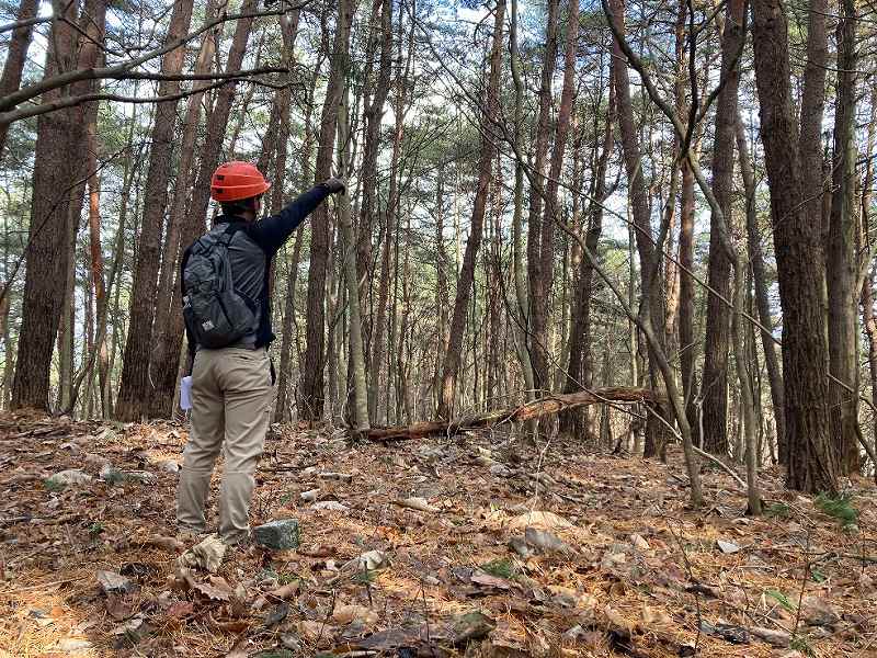 頂上付近の様子