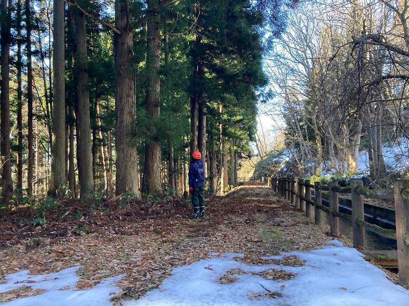 前面歩道の様子