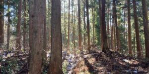 福島県耶麻郡猪苗代町