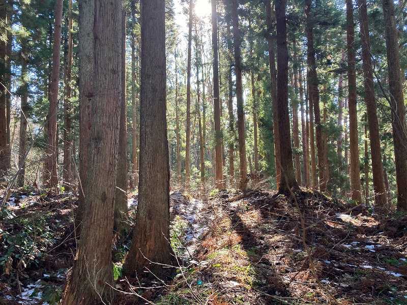 山林物件　福島県耶麻郡猪苗代町